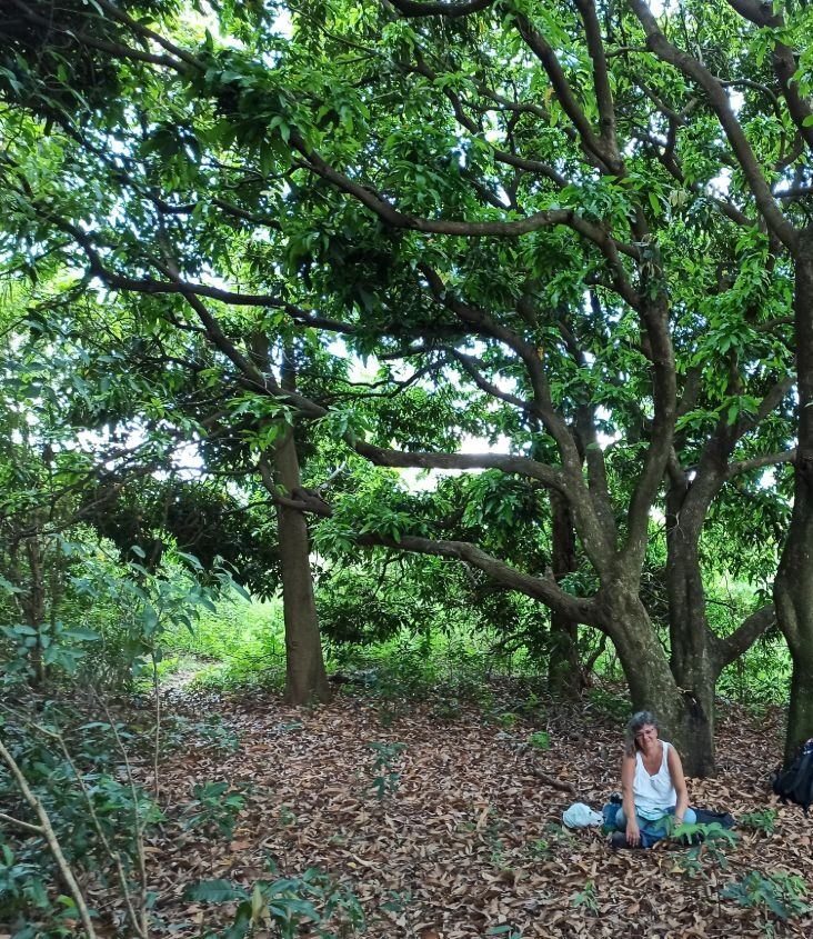 Andrea Marohn sitzt klein unter einem großen Baum im Urwald von Paraguay