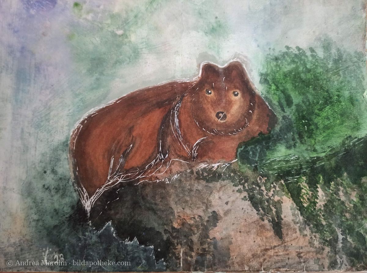 Aquarell: ein brauner Bär liegt auf einem Felsen und schaut die Betrachterin an, daneben Tannen im Nebel