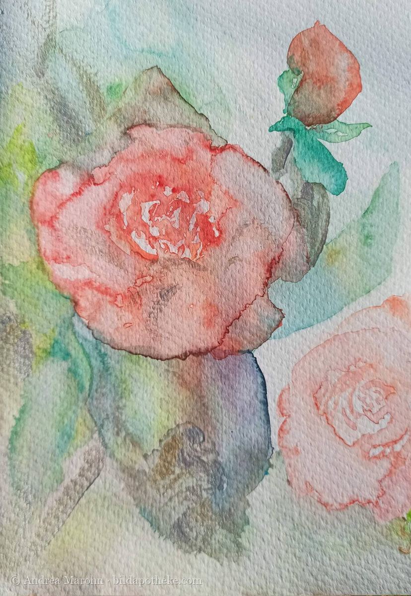Aquarell: zarte Rosen in Lachsrosa mit einer Knospe