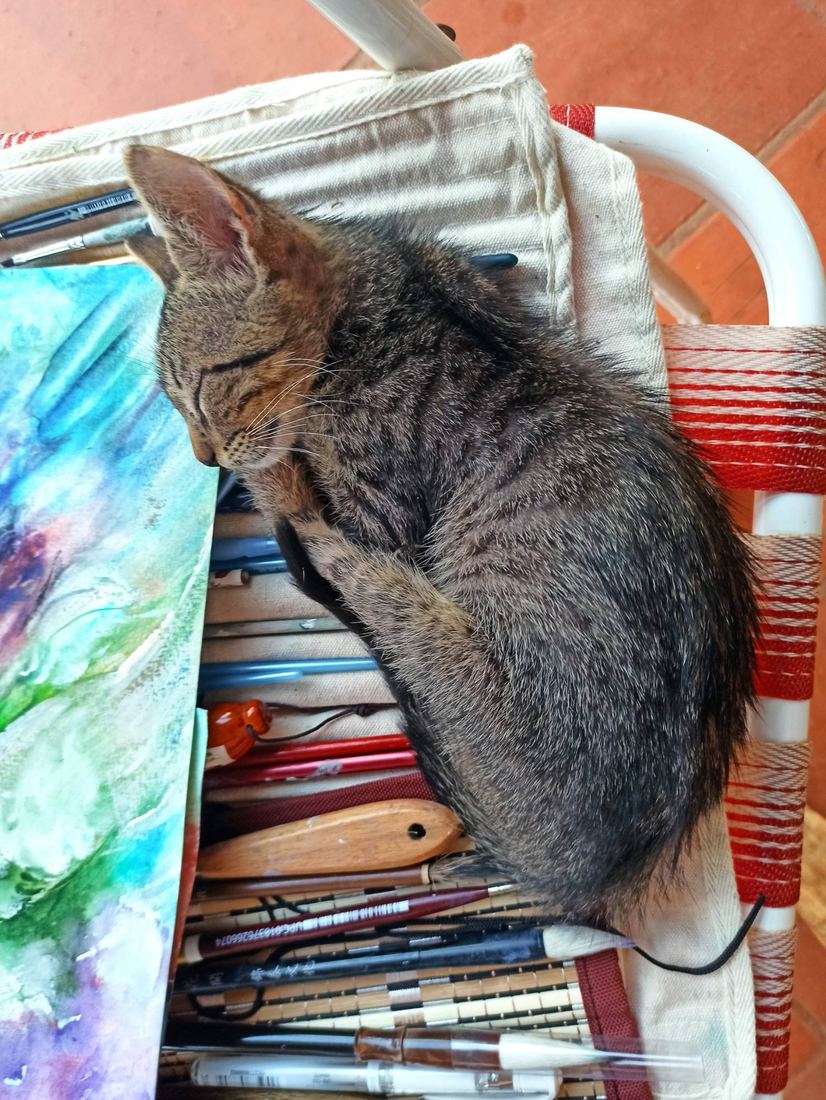 Ein Kätzchen schläft auf Andreas Pinseln neben einem Aquarell