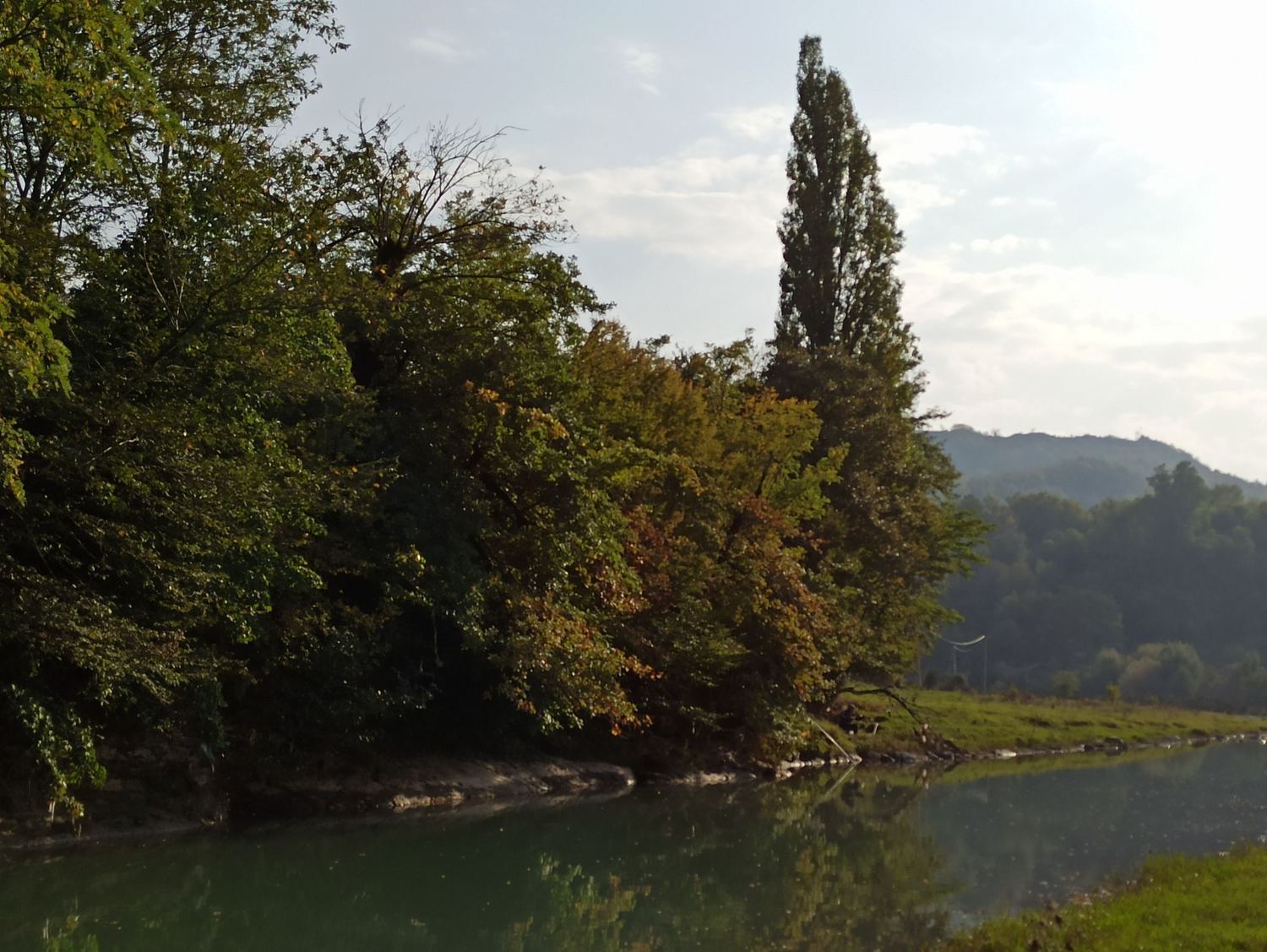 Der Fluss bei Kutaissi in Georgien mit Bäumen und einer hohen Pappel