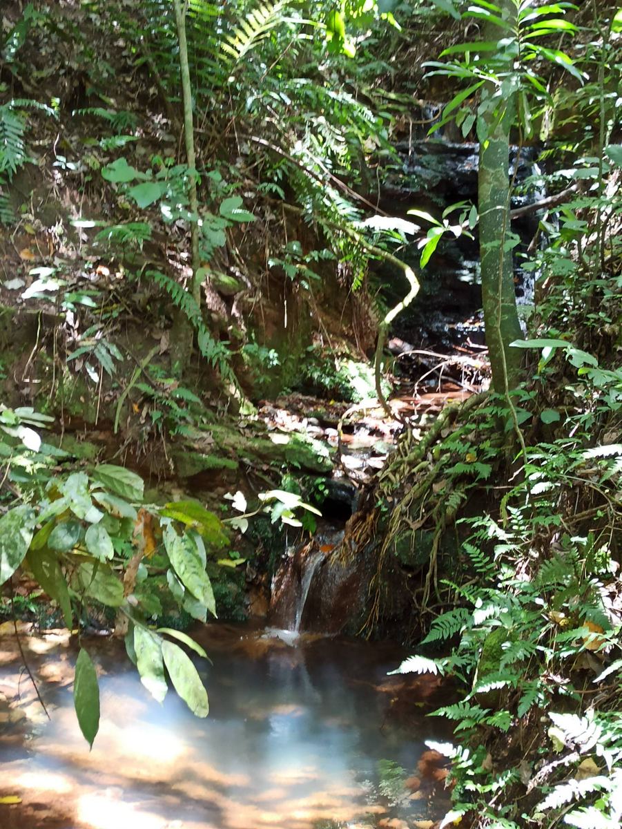 Kleiner Wasserfall mit Becken im Urwald von Paraguay