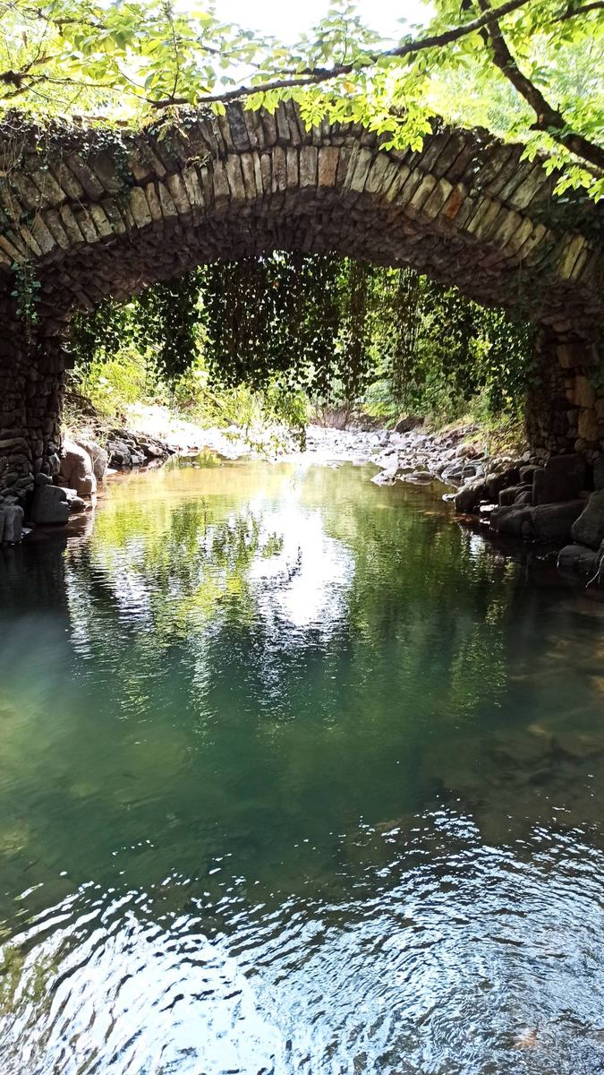 Alte Steinbrücke über einem Fluss in Georgien, das Wasser spiegelt das Grün